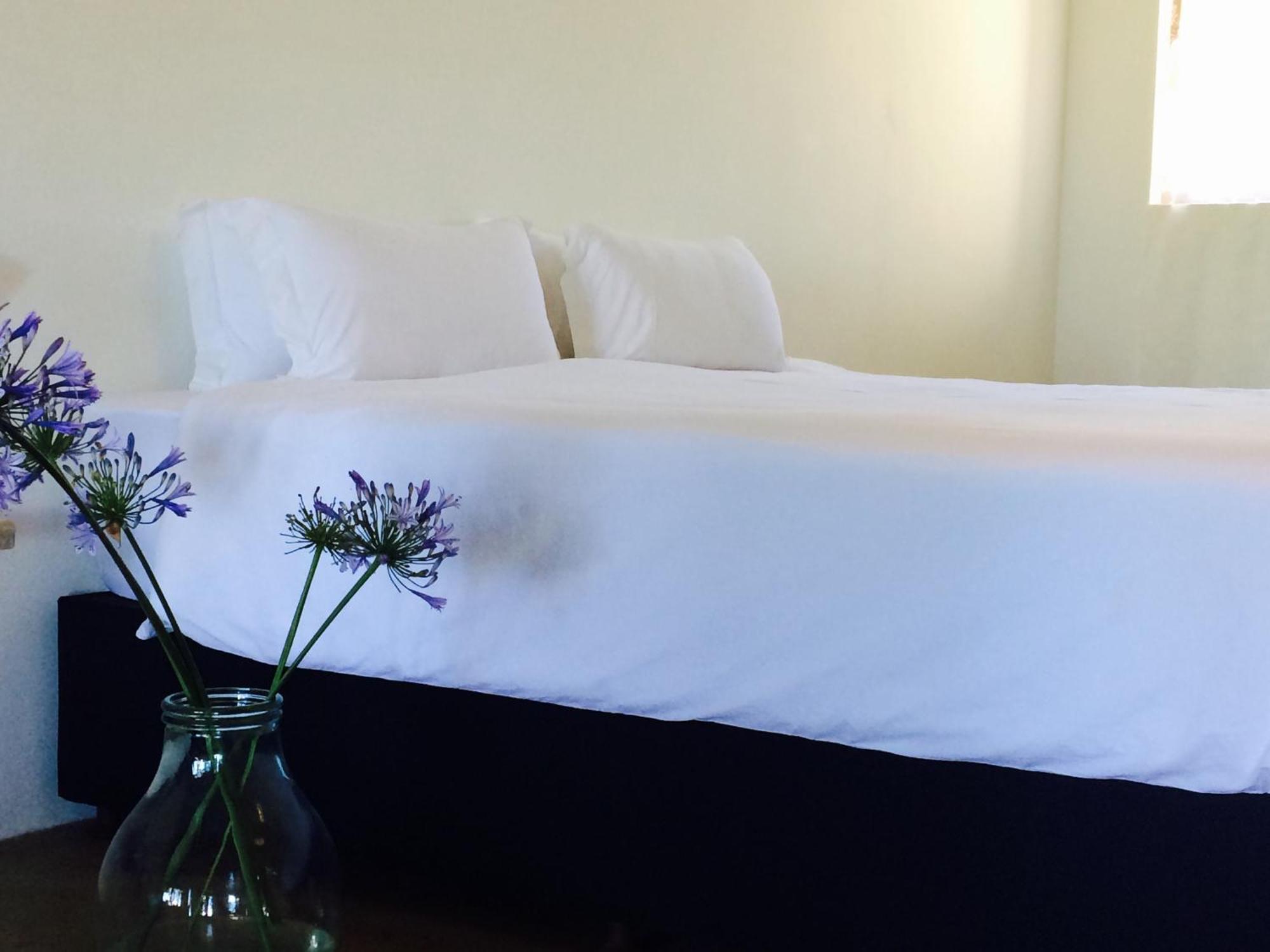 Hotel Seven Fountains Farm à Grahamstown Extérieur photo